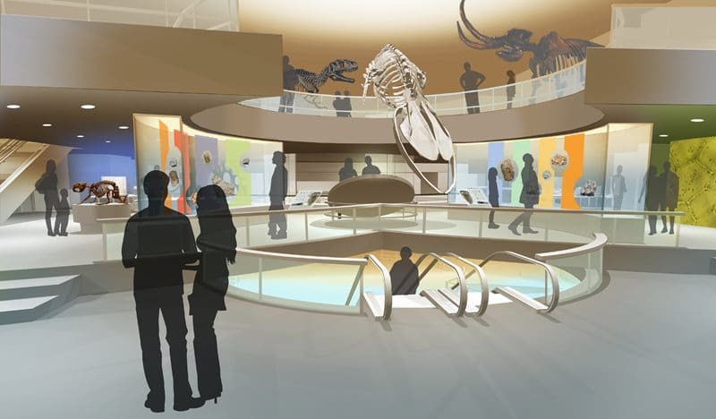 Virginia Museum Of Natural History -1st-floor-main-level